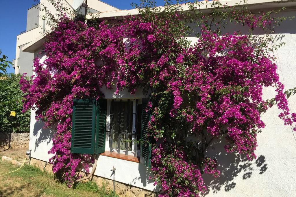 Hébergement de vacances La Casa Del Bosc, Playa Y Golf -